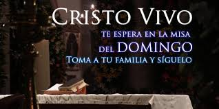 Cristo Vivo te espera en la Misa del Domingo