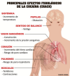 Drogas, sus  efectos y desdentoxicación