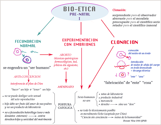 Bioética y Biomedicina: La vida protegida desde la concepción hasta la muerte