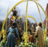 Domingo de Ramos - Jesús entra a Jerusalén