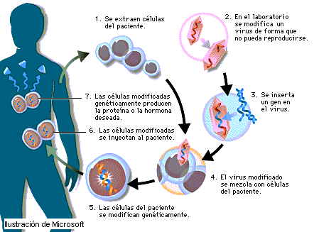 Bioética: Manipulación genética